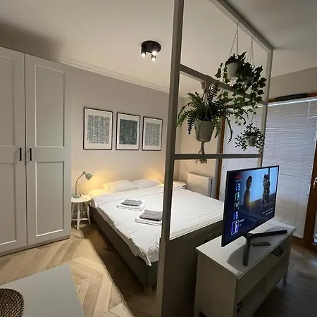 Luksusowa Oaza W Samym Centrum Wroclawia * Breslau