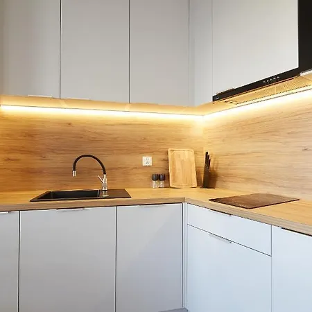 Luksusowa Oaza W Samym Centrum Wroclawia * Vratislav