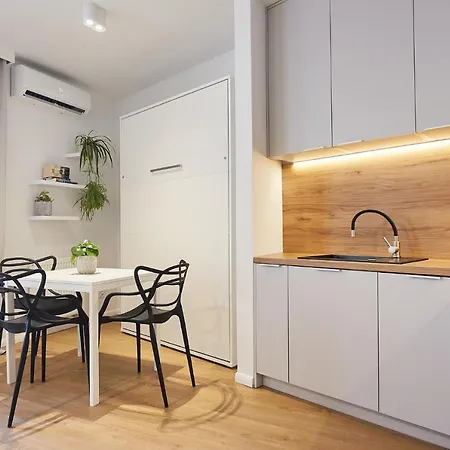 Luksusowa Oaza W Samym Centrum Wroclawia * Vratislav